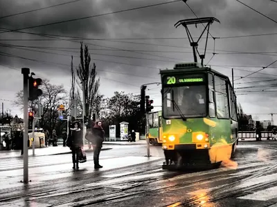 Pracownia Badań Psychologicznych Zielone Światło